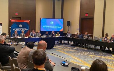 How cities are handling immigration in the current climate