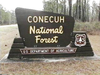 Environmental Groups Push Back on Trump-Era Plan to Drill Alabama’s Conecuh National Forest