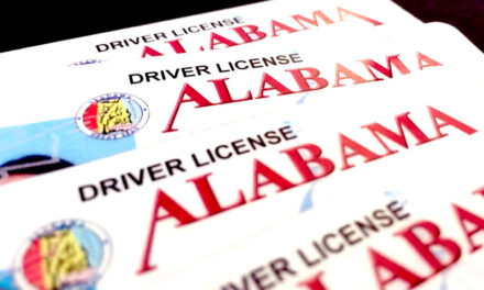 Senate Panel Advances Bill Allowing Digital Driver’s Licenses and State IDs