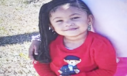 Mother of Missing Enterprise Toddler Detained as Search Intensifies