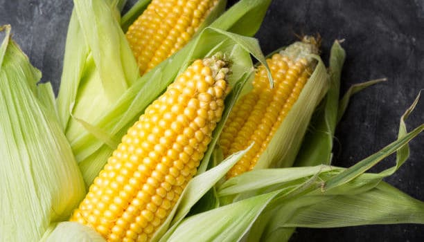 Is Corn Good for You? Nutrition, Health Benefits, and How to Enjoy It