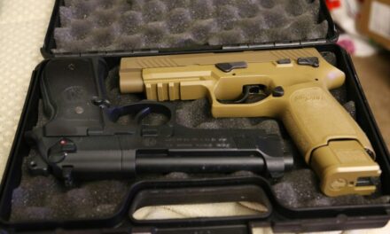 Opinion: When a child pulls the trigger, the adult must face the consequences
