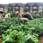 City of Birmingham, Jones Valley Teaching Farm, Awards $100,000 to Local Urban Farmers