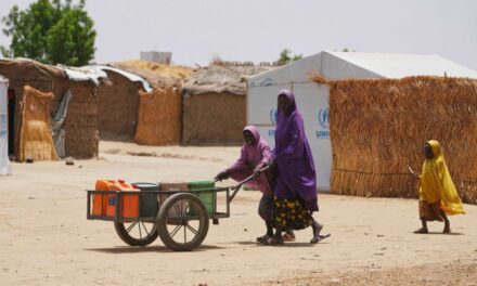 Jihadis intensify attacks against Nigeria’s military, killing officers and carting away weapons