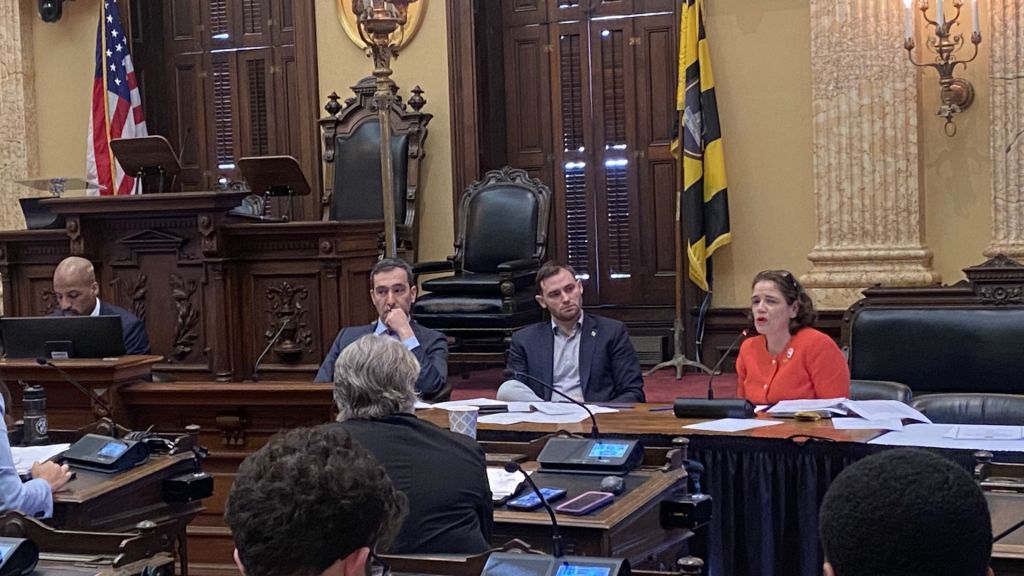 City Council holds hearing on bill to protect immigrant residents
