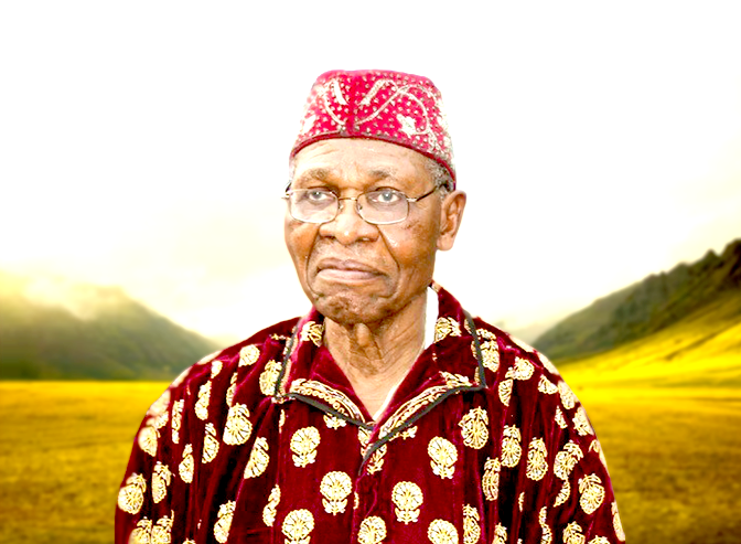 AAMU Remembers Professor Emeritus Dr. Baldwin Onuma Okezie