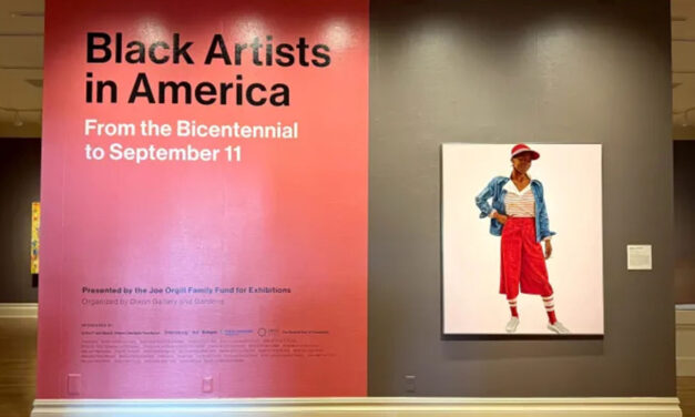 Black Artists in America, Installation Three Wraps at the Dixon Gallery and Gardens