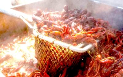 MidCity Comes Alive: Free Crawfish Festival Brings Food, Music, and Community to Huntsville