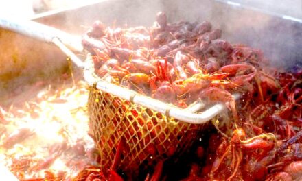 MidCity Comes Alive: Free Crawfish Festival Brings  Food, Music, and Community to Huntsville
