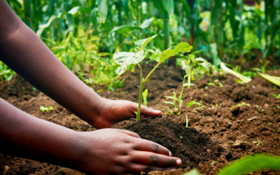 Clean, Green & On the Move: Huntsville’s Earth Month Events Rally the Community