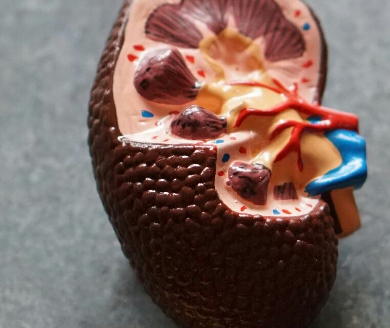 A call to action to help fight kidney failure in at-risk communities: American Kidney Fund urges people to be APOL1 Aware 