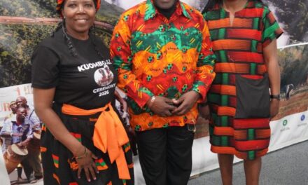Thousands celebrate culture with ‘Around the World Embassy Tour’