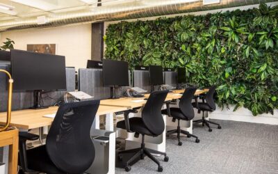 Office Equipment Leasing is Giving Small Businesses Room to Grow Without the Upfront Hit