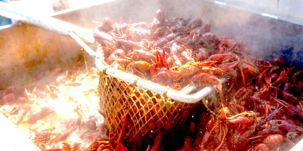 MidCity Comes Alive: Free Crawfish Festival Brings  Food, Music, and Community to Huntsville